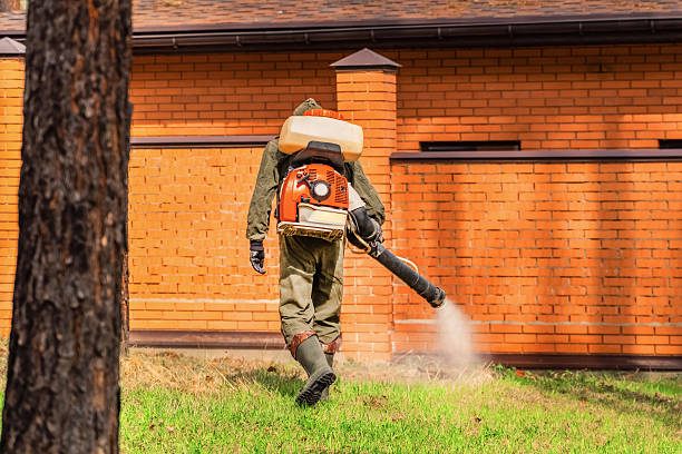 Top rated local Ant Control specialists in Jennings Lodge, OR